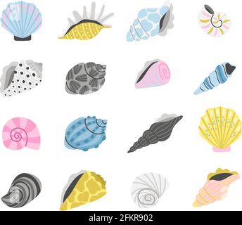 Marine seashells. Cartoon sea shell objects, hand drawn colorful shells, elements of concept of ocean treasure and beach sand coast, ocean items vector illustration isolated on whit Stock Vector