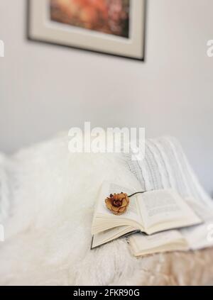 Closeup shot of dried rose laying over an open book Stock Photo