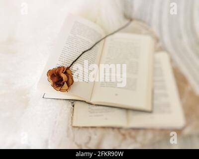 Closeup shot of dried rose laying over an open book Stock Photo