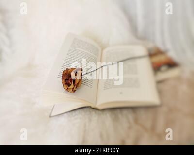 Closeup shot of dried rose laying over an open book Stock Photo