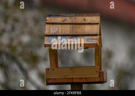 Wooden birdhouse on spring color fresh garden Stock Photo