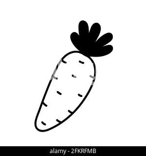 Doodle carrot isolated on white background. Vector hand-drawn illustration. Cute cartoon drawing. Suitable for menu, recipes, decorations, cards, Easter design. Stock Vector