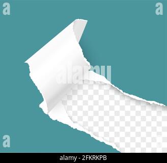 Vector torn hole of lower right corner over transparent sheet with paper curl realistic vector 3D template Stock Vector