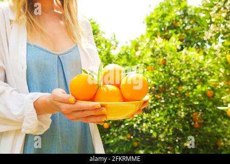 Attractive fit young woman holding bright yellow bowl full of oranges harvest pile in local produce farm plantation. Female in loose cotton shirt, sun Stock Photo