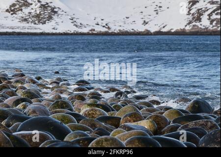 Small sea waves break against the stones of the shore. A bright sunny day and white foam of the waves. Melting glaciers as an environmental impact of Stock Photo
