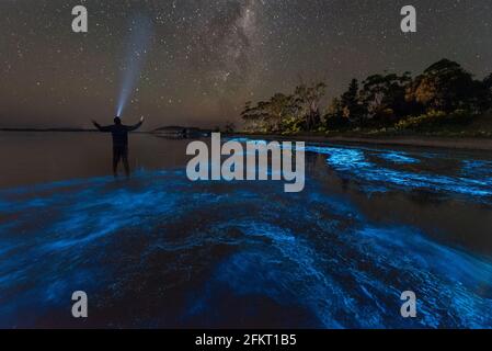 Selfie in blue Bioluminescence under the Milky Way Stock Photo