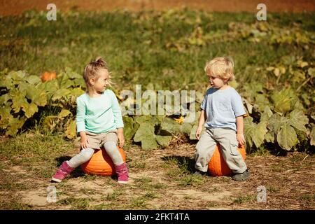 Brother and sister sitting on pumpkins in field Stock Photo