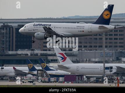 03 May 2021, Hessen, Frankfurt/Main: A Lufthansa passenger aircraft of the type Airbus A319-100 lands at Frankfurt Airport. On 04 May, the annual general meeting of the ailing airline takes place as a purely virtual event. The aviation industry is particularly hard hit by the effects of the global Corona pandemic. Photo: Boris Roessler/dpa Stock Photo