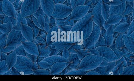 abstract blue autumn leaves background, top view Stock Photo