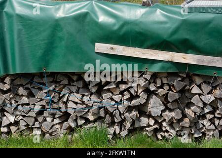 firewood logs in a garden clearing and covered in green tarpaulin to keep them dry Stock Photo