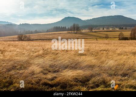 open air meadow with faded grass in a autumn season with forest and mountains on a horizon. natural landscape, horizontal photo Stock Photo