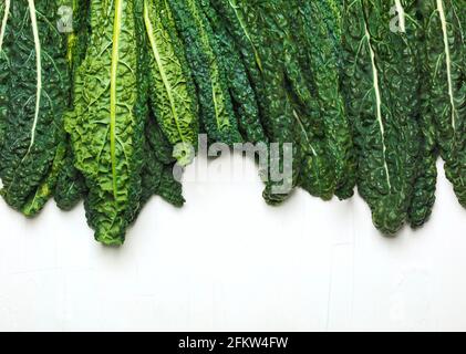 Fresh Green Kale on white background Stock Photo