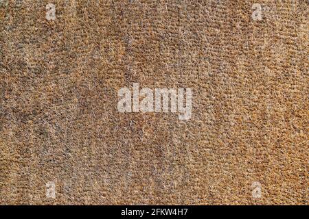 The Texture of an Old and Worn Coir Doormat Stock Photo