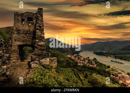 Vineyards under old ruin of Hinterhaus castle in Spitz. Wachau valley. Lower Austria. Stock Photo