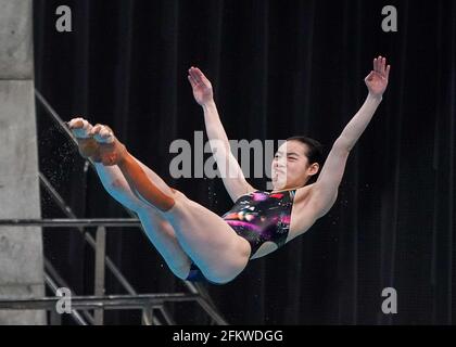 Tokyo. 4th May, 2021. Chang Yani of China competes during the women's 3m springboard final at the FINA Diving World Cup 2021 in Tokyo, Japan on May 4, 2021. Credit: Christopher Jue/Xinhua/Alamy Live News Stock Photo