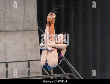 Tokyo. 4th May, 2021. Chang Yani of China competes during the women's 3m springboard final at the FINA Diving World Cup 2021 in Tokyo, Japan on May 4, 2021. Credit: Christopher Jue/Xinhua/Alamy Live News Stock Photo