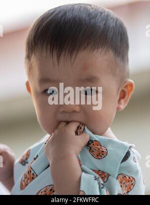 Potrait image of adorble and cute happy Asian Chinese baby boy Stock Photo