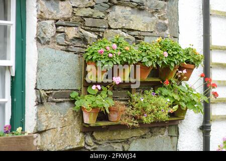 Houses of Stonethwaite village, beautifully decorated with flowers and greenery. Small village situated in the valley of the Stonethwaite Beck. Explor Stock Photo