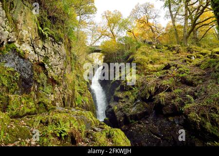 Famous Aira Force waterfall on Aira Beck stream, located in the Lake District, Cumbria, UK. Late autumn. Stock Photo