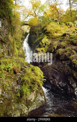 Famous Aira Force waterfall on Aira Beck stream, located in the Lake District, Cumbria, UK. Late autumn. Stock Photo