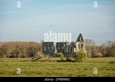 Ruins of Newark Priory, an Augustinian priory by the River Wey, a scheduled monument, near Ripley and Pyrford, Surrey in a field with no public access Stock Photo