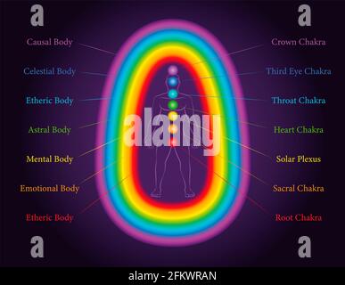 Aura bodies. The seven layers of a meditating man with related chakras in the same colors. Etheric, emotional, mental, astral, celestial, causal layer. Stock Photo