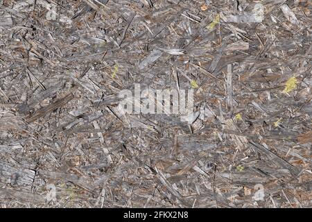Oriented strand board engineered wood panel background or texture, compressed layers of wood flakes Stock Photo