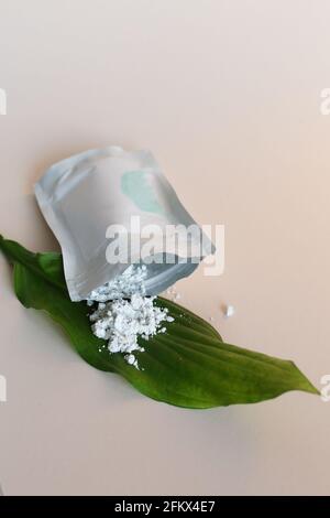 Ancient minerals - green tea clay powder and mud mask for spa, beauty concept Stock Photo