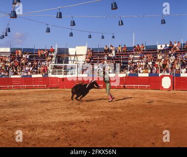 Cavaleiro and bull in bullring, Povoa de Varzim Bullfighting Arena, Povoa de Varzim, Porto (Oporto), Norte Region, Portugal Stock Photo