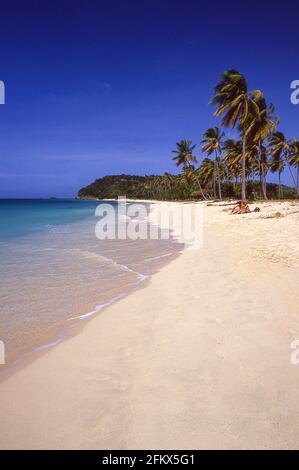Darkwood Beach, Saint Mary’s Parish, Antigua, Antigua and Barbuda, Lesser Antilles, Caribbean