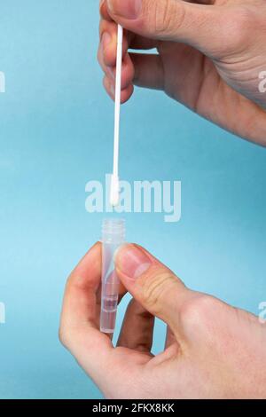 Disposable Swabs In Buffer Solution, Covid 19 Antigen Rapid Test, Self Test Stock Photo