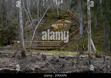 Nature trails wooden stairs in the woods leading down from the hill in the spring. Stock Photo