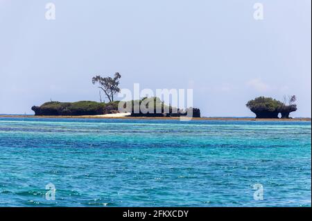 Wasini Island and Kisite-Mpunguti Marine National Park, Kenta, Africa Stock Photo