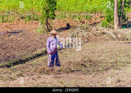 PYIN OO LWIN, MYANMAR - NOVEMBER 30, 2016: Local peasant on a field, Myanmar Stock Photo