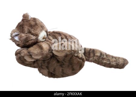 sleeping toy cat soft cuddly toy isolated on white background - stuffed animal Stock Photo