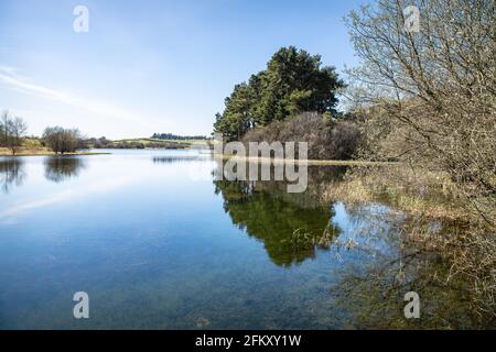 Lindean Reservoir and nature reserve in the Scottish Borders Stock Photo
