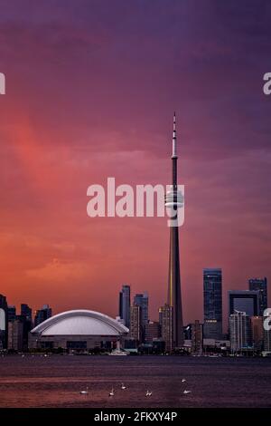 Downtown Toronto seen across lake Ontario at sunset with colourful pink and orange sky. Stock Photo