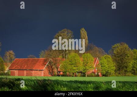 Haltern, NRW, Germany. 04th May, 2021. Dark, thundry clounds hang over a farm in the small town of Haltern in NRW, whilst the sun breaks through for a moment. A day of strong winds, rain and sunny spells, as storm Eugen rolls across Germany with warnings of hurricaneforce winds up to 130 km (80 miles) per hour and thunderstorms. Credit: Imageplotter/Alamy Live News Stock Photo