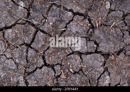 Dry black soil with cracks. Denotes water scarcity or drought Stock Photo