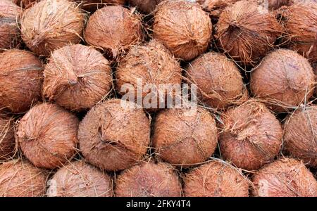 Shelled Coconuts for sale in stall, Juhu Beach, Mumbai, India Stock Photo