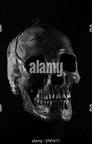 human skull on black background Stock Photo