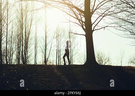 Silhouette of woman runner doing stretches before her run. Stock Photo
