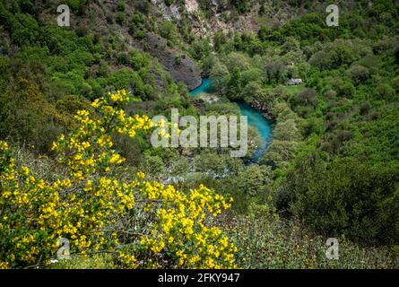 Voidomatis is one of the smallest but most beautiful rivers in Greece. Abandoned orthodox church next to river and forest. Stock Photo