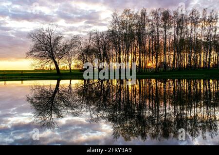 colorful sunset view on the lake shore with leafless tree reflections in the water Stock Photo