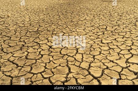 Dried ground texture, , ground with cracks, natural textures, desert,  drought concepts, cracked ground, ecology, dried ground HD wallpaper |  Pxfuel