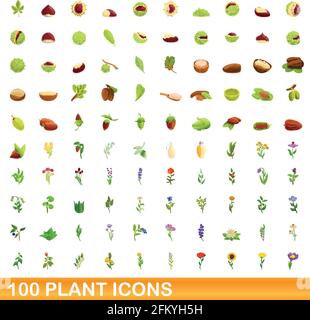 100 plant icons set. Cartoon illustration of 100 plant icons vector set isolated on white background Stock Vector