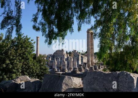 Apollo temple ruins at Dydima in Didim Aydin Stock Photo