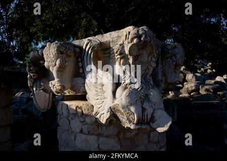 Apollo temple ruins at Dydima in Didim Aydin Stock Photo