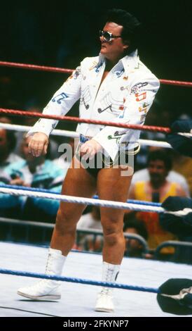 Greg Valentine 1990                                                          By John Barrett/PHOTOlink Stock Photo