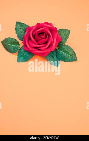 Single red rose surrounded by leaves on an orange pastel background with big copy space below Stock Photo